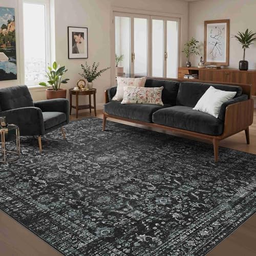 Rugxara Black Rug 5x7 Area Rugs Washable Rug for Living Room Bedroom