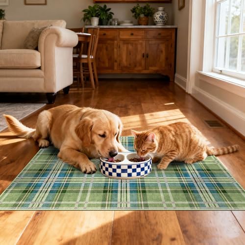 Front Door Mat Outside Entrance, 2x3 Green Teal Tartan Plaid Rug