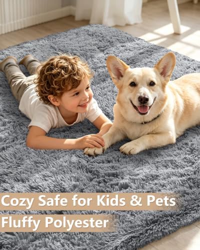 Smiry Area Rugs for Living Room Bedroom 2x4 ft, Fluffy Washable Carpet