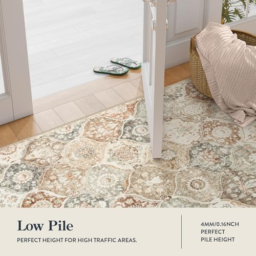 Lahome Moroccan Entryway Rug, 2x3 Kitchen Rugs Non Slip Washable