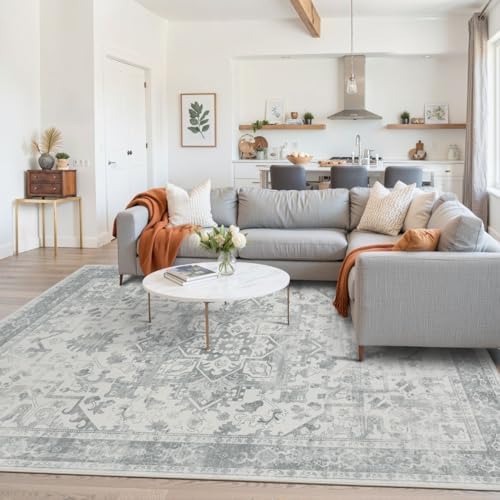 Rugxara 5X7 Washable Area Rug for Living Room, Light Grey