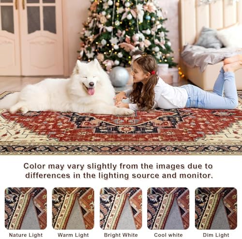 Macgace Washable Vintage Area Rug for Living Room, 6x9 Rugs Orange Red