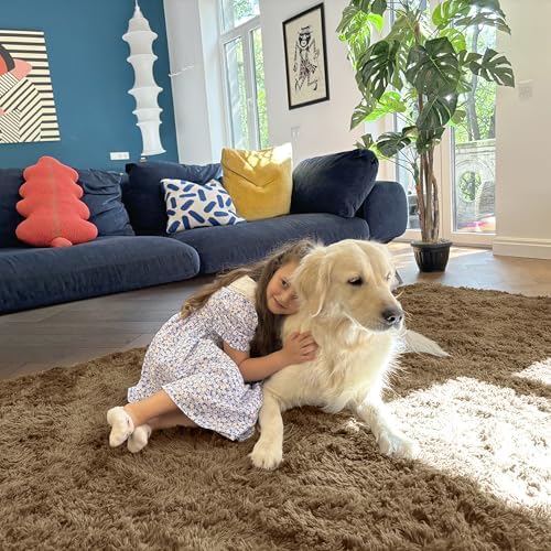 OLANLY 9x12 Machine Washable Large Area Rugs for Living Room, Bedroom, Soft Fluffy Shaggy Bedside Rug, Indoor Floor Carpet for Kids Girls and Boys, Dorms, Nursery, Home Decor Aesthetic, Taupe