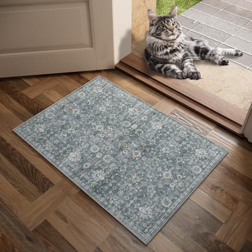 Washable Small Area Rugs for Entryway: 2x3 Door Mat Indoor Entrance