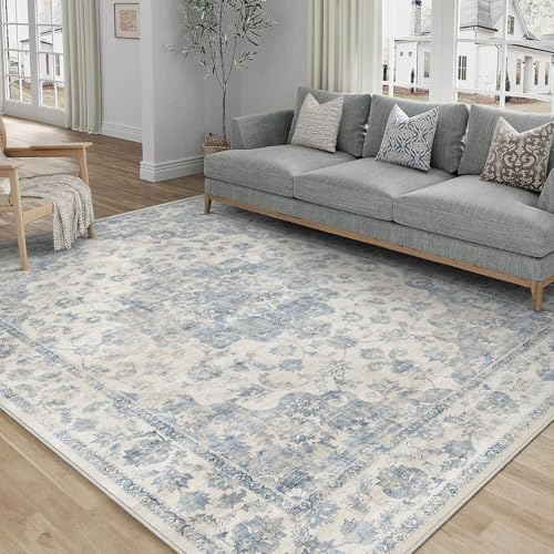 4x6 Blue Neutral Area Rug
