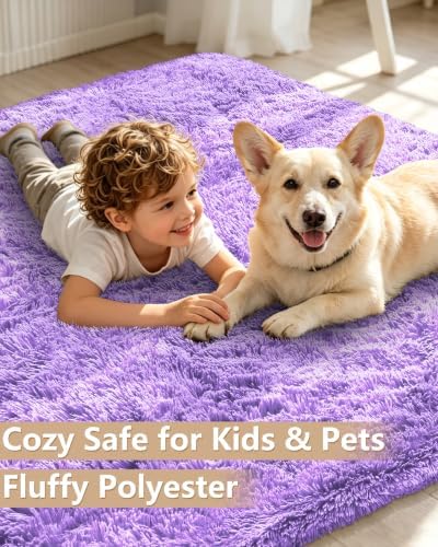 Smiry Area Rugs for Living Room Bedroom 2x3 ft, Fluffy Washable Carpet
