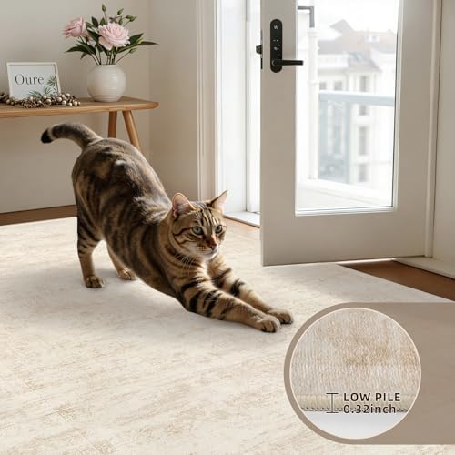 5x8 Area Rugs Living Room: Bedroom Washable Carpet Retro Beige