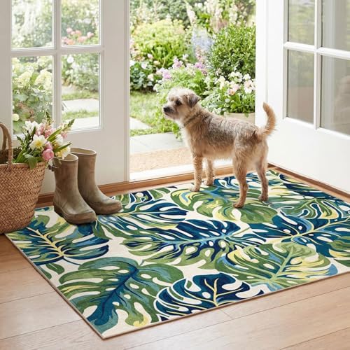 Boho Outdoor Rug - 28" x 43" Front Door Mat Indoor Outside Entrance