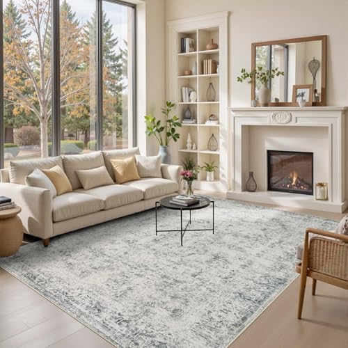 Rugxara Grey 6x9 Area Rugs Washable Rug for Living Room Dining Room Bedroom