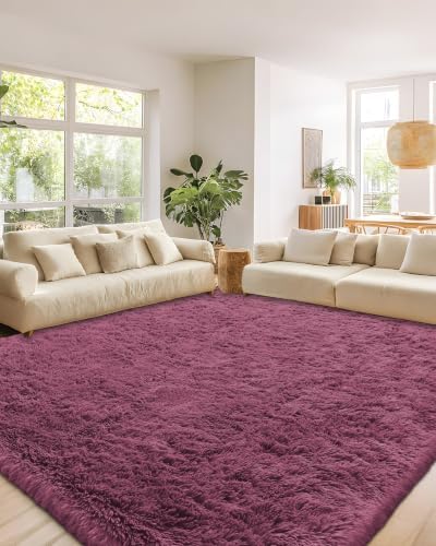 Smiry Area Rugs for Living Room Bedroom 2x3 ft, Fluffy Washable Carpet