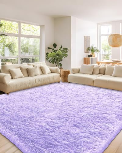 Smiry Area Rugs for Living Room Bedroom 2x3 ft, Fluffy Washable Carpet