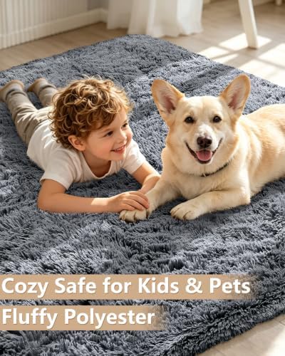 Smiry Area Rugs for Living Room Bedroom 3x5 ft, Fluffy Washable Carpet