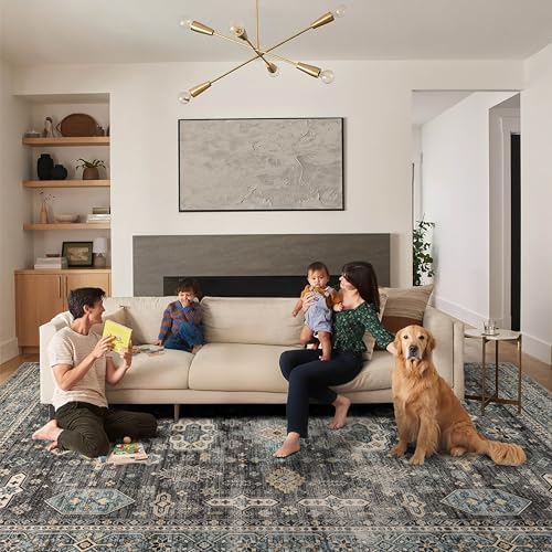 Ruaruarug Washable Area Rug 10×14 for Living Room, Ultra Soft, Silver