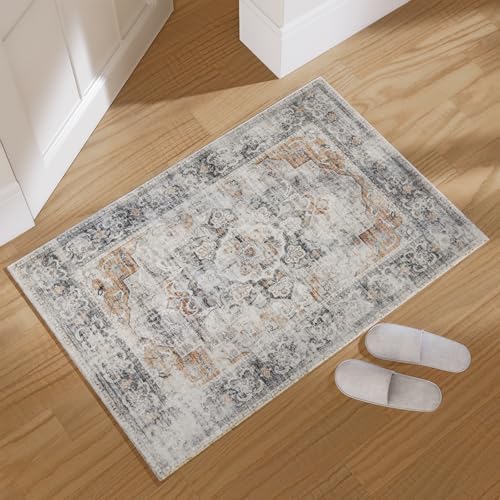 2x3 Washable Area Rugs for Entryway: Small Throw Rugs Low Pile Soft Carpet