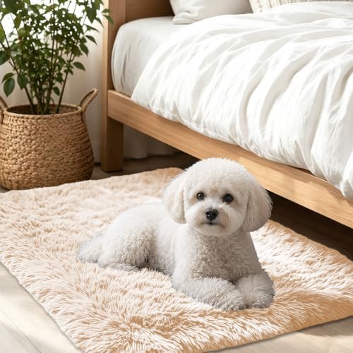 Smiry Area Rugs for Living Room Bedroom 2x3 ft, Fluffy Washable Carpet