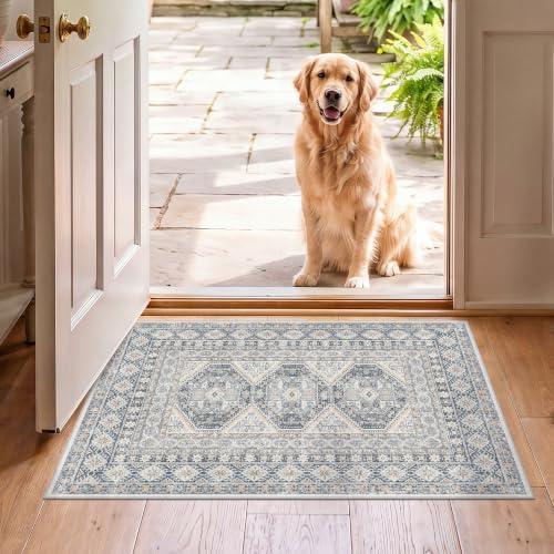 2x3 Area Rug Washable Vintage: Non Slip Throw Rugs for Entryway Floor Blue