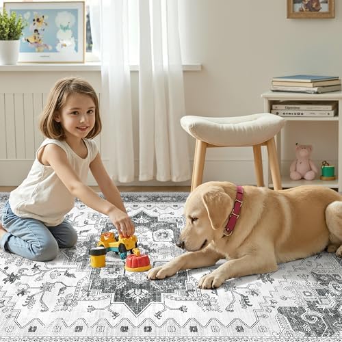 befbee Washable Area Rug 5x7, Vintage Low Pile Carpet for Bedroom Grey