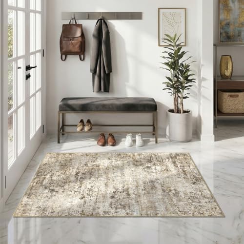 Abstract Area Rug 3x5 Ft Washable Rugs for Entryway Indoor