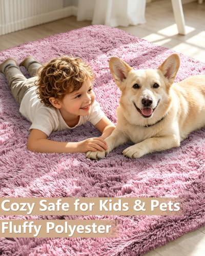 Smiry Area Rugs for Living Room Bedroom 2x3 ft, Fluffy Washable Carpet