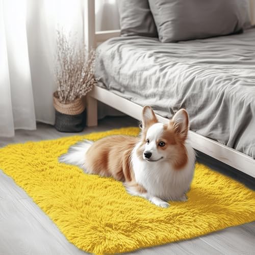 OLANLY 2x3 Machine Washable Small Bedside Rug, Soft Fluffy Shaggy Entryway Throw Rugs for Bedroom, Living Room, Indoor Floor Carpet for Kids Girls and Boys, Nursery Rooms, Home Decor Aesthetic, Yellow