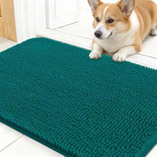 OLANLY Dog Door Mat for Muddy Paws 24x16, Super Absorbent Chenille Mud Mat