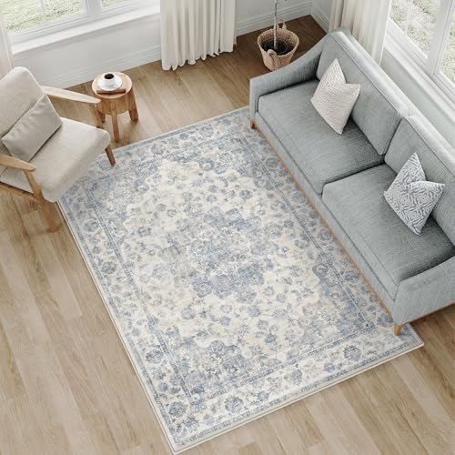 4x6 Blue Neutral Area Rug