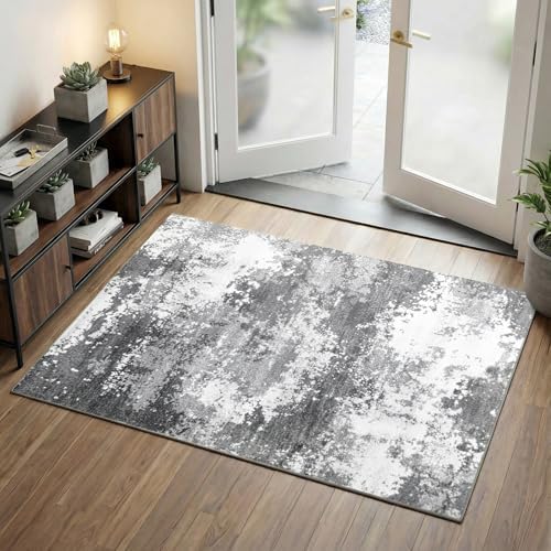 2x4 Washable Porch Rug Grey Welcome Door Mat Entrance 24x48, Small Runner Rugs for Kitchen Floor, Bath, Front Door, Bedroom Bedside, Non-Slip Low Pile Stain & Fade Resistant, Abstract Gray