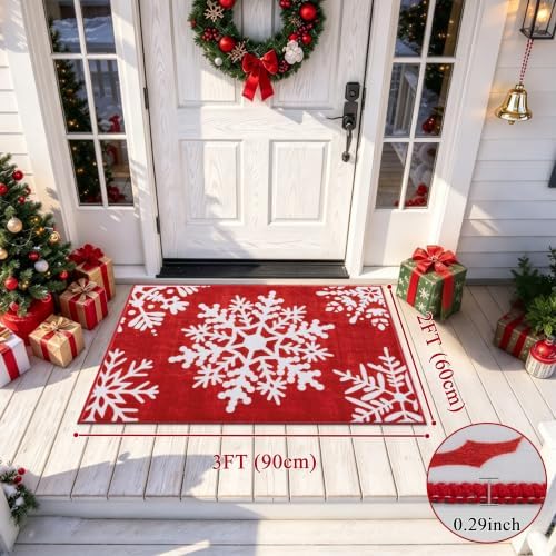 HEBE Christmas Indoor Door Mat 2'x3', Vintage Snowflake Entryway Rug