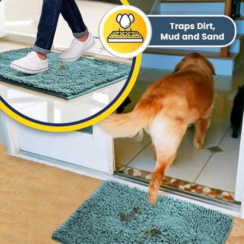 Muddy Mat® | Super Water Absorbent Door Mat Indoor, Microfiber Quick Dry Chenille Entryway Rug,Slip Resistant Front Door Mat,Indoor Mats for Entryway,Machine Washable Pet Rug, Seafoam Green 48"x60"