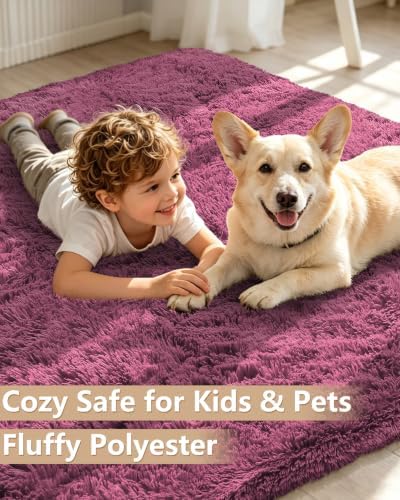 Smiry Round Area Rugs for Living Room Bedroom 5x5 ft, Fluffy Carpet