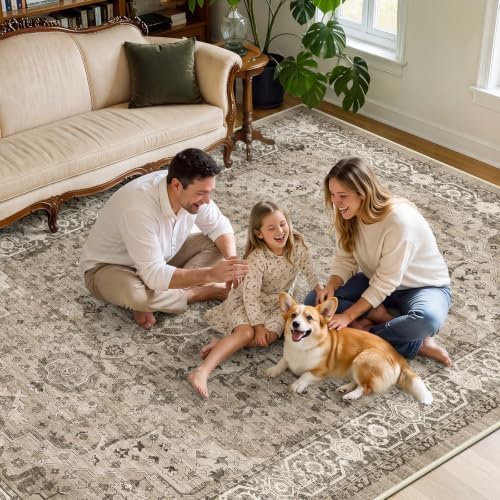SameBed 9x12 Area Rug Living Room, Vintage Washable Carpet Brown