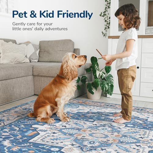 Lessymo 8 x 10 Area Rugs for Living Room,Soft Washable Carpet Blue Brown