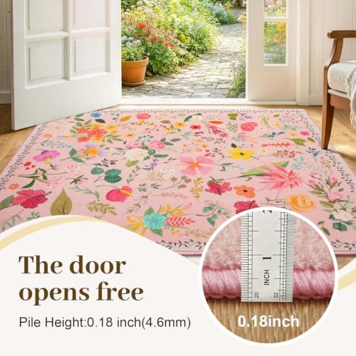 2x3 Washable Non-Slip Area Rug for Entryway(Pink)