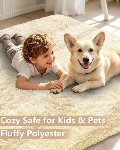 Smiry Area Rugs for Living Room Bedroom 4x5.9 ft, Fluffy Washable Carpet