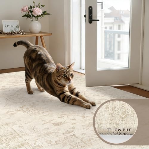 6x9 Area Rugs Living Room: Bedroom Washable Carpet Beige/Brown