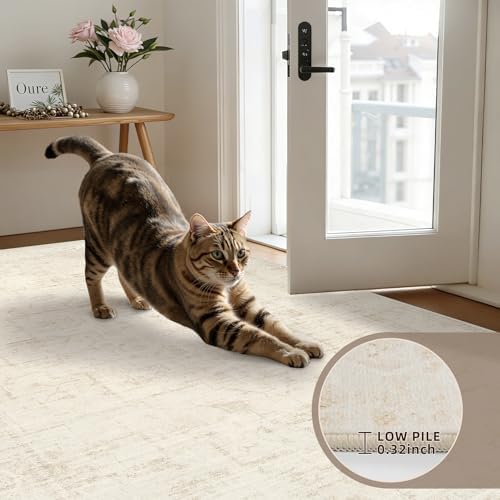 8x8 Area Rugs Living Room: Bedroom Neutral Washable Carpet Beige