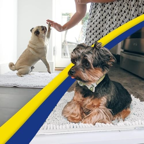 Muddy Mat® | Super Water Absorbent Door Mat Indoor, Microfiber Quick Dry Chenille Entryway Rug, Slip Resistant Front Door Mat, Indoor Mats for Entryway, Machine Washable Pet Rug, White 28" x 48"