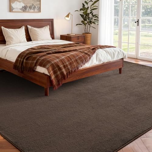 5x7 Pure Brown Area Rug Non-Slip Washable Soft Thin for Living Room Bedroom
