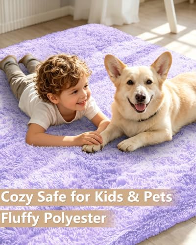 Smiry Area Rugs for Living Room Bedroom 2x6 ft, Fluffy Washable Carpet