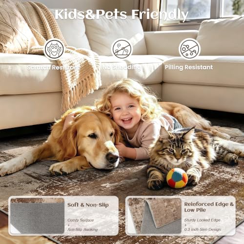 3x5 Rugs for Entryway - Modern Abstract Washable Rug, Ultra Soft Non Slip Low Pile Small Rug, Floor Carpet for Foyer Hallway Kitchen Laundry Bedroom Home(A‑Brown)