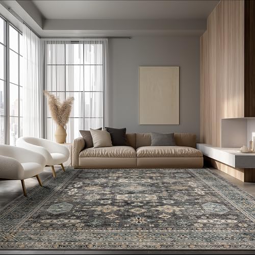 Ruaruarug Washable Area Rug 6×9 for Living Room, Ultra Soft, Silver