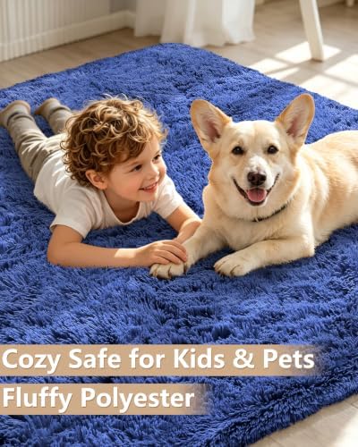 Smiry Area Rugs for Living Room Bedroom 5x7 ft, Fluffy Washable Carpet