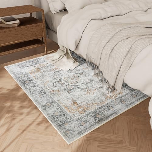 2x3 Washable Area Rugs for Entryway: Small Throw Rugs Low Pile Soft Carpet