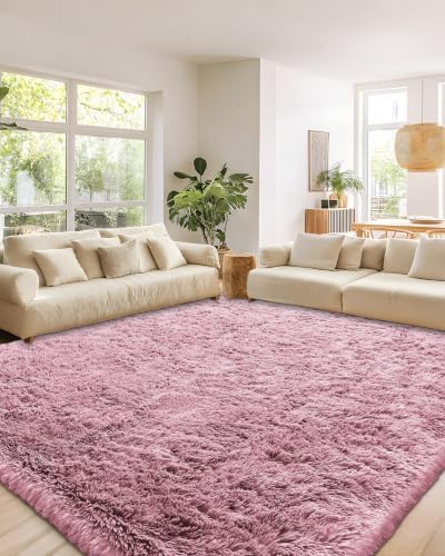 Smiry Area Rugs for Living Room Bedroom 2x3 ft, Fluffy Washable Carpet