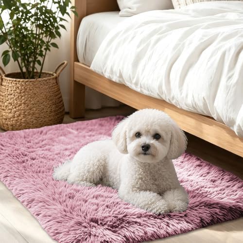 Smiry Area Rugs for Living Room Bedroom 2x3 ft, Fluffy Washable Carpet