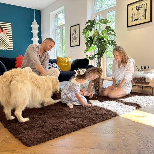 OLANLY 3x4 Machine Washable Accent Rug, Soft Fluffy Shaggy Area Rug for Bedroom, Living Room, Indoor Floor Carpet for Kids, Nursery, Home Decor, Coffee