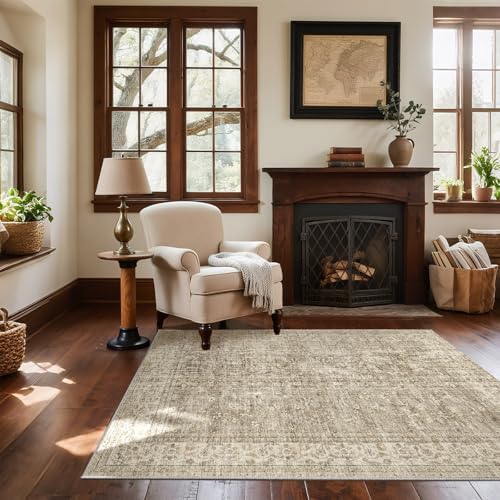 Washable Entryway Small Area Rugs: Door Mat Indoor Entrance 3x5 Boho Rug Stain Resistant Non-Slip Rubber Backing Soft Carpet for Kitchen Front Door Indoor Entrance Entry Bedroom Kids Room
