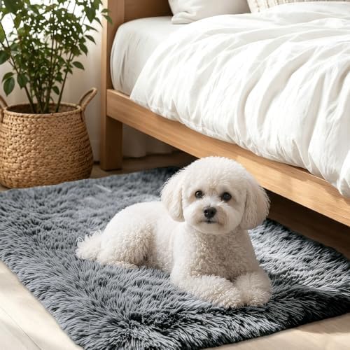 Smiry Area Rugs for Living Room Bedroom 2x4 ft, Fluffy Washable Carpet