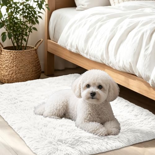 Smiry Area Rugs for Living Room Bedroom 2x3 ft, Fluffy Washable Carpet