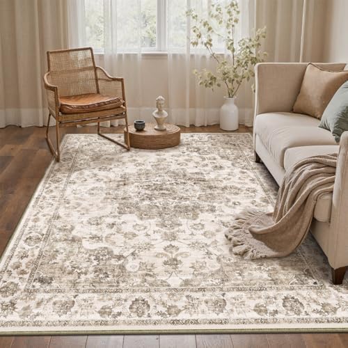 4x6 Brown Neutral Area Rug